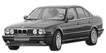 BMW E34 P0933 Fault Code